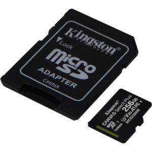 Kingston Canvas Select Plus SDCS2/256GB