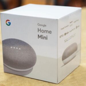 Home Mini