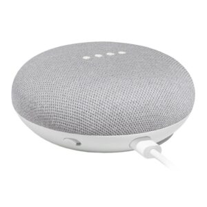 Home Mini